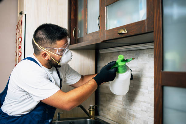 Best Pest Removal Services  in Braselton, GA