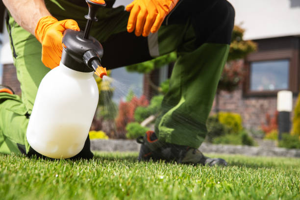Best Termite Control Services  in Braselton, GA