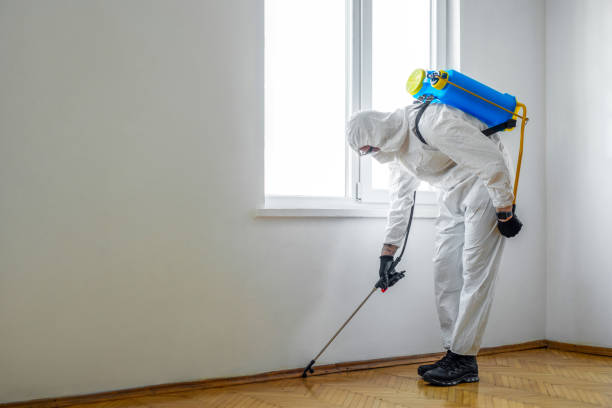 Best Residential Pest Control  in Braselton, GA