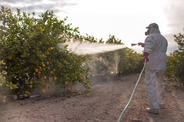 Professional Pest Control in Braselton, GA