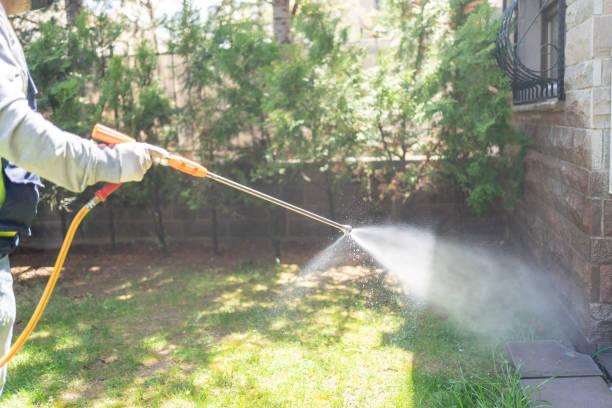 Best Pest Control Near Me in Braselton, GA