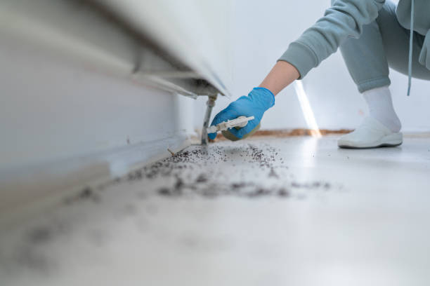 Best Mosquito Control Services  in Braselton, GA